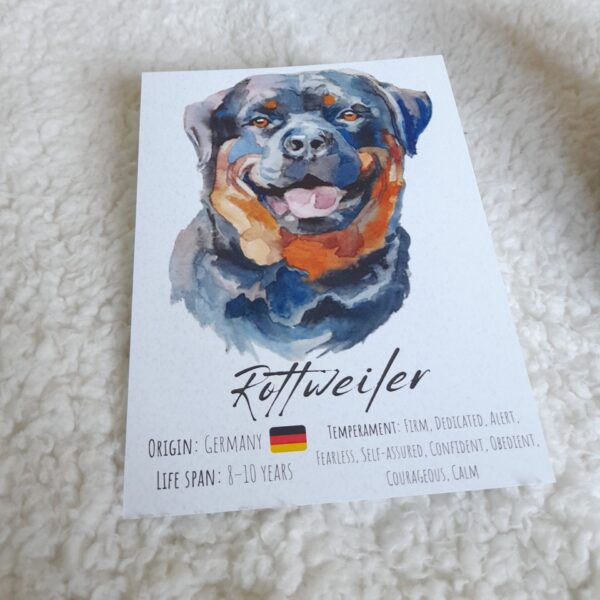 Postal Cão "Rottweiler"