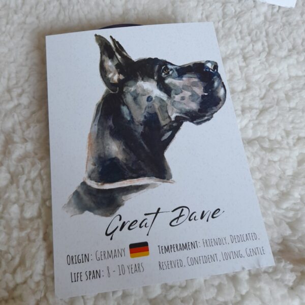 Postal Cão "Great Dane"